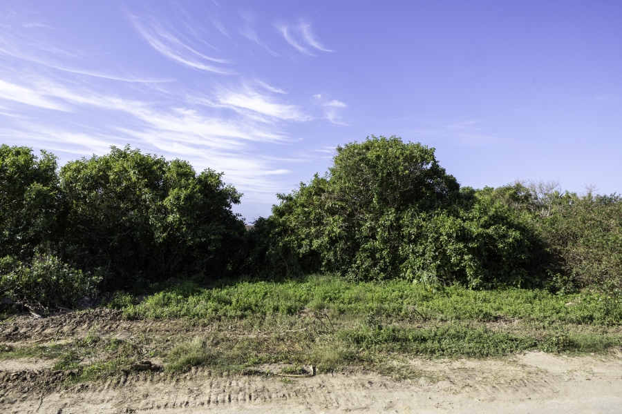 0 Bedroom Property for Sale in Forest Downs Eastern Cape